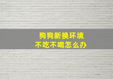 狗狗新换环境不吃不喝怎么办