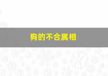 狗的不合属相