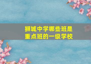 狮城中学哪些班是重点班的一级学校