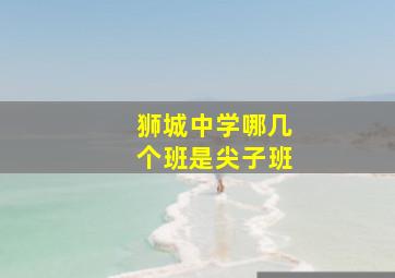 狮城中学哪几个班是尖子班