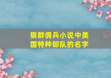 狼群佣兵小说中美国特种部队的名字