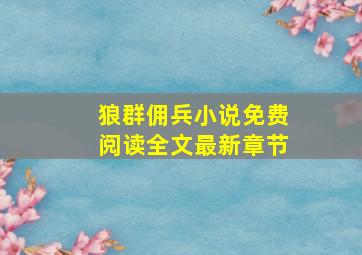 狼群佣兵小说免费阅读全文最新章节