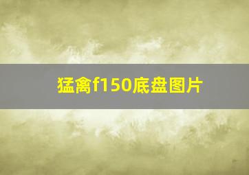 猛禽f150底盘图片