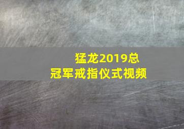 猛龙2019总冠军戒指仪式视频