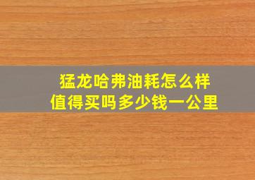 猛龙哈弗油耗怎么样值得买吗多少钱一公里