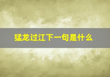 猛龙过江下一句是什么