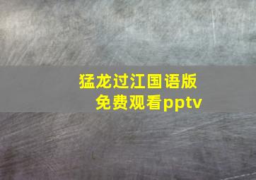 猛龙过江国语版免费观看pptv