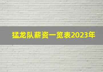 猛龙队薪资一览表2023年