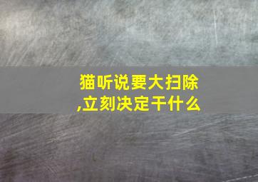 猫听说要大扫除,立刻决定干什么