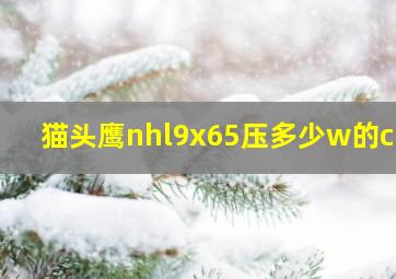 猫头鹰nhl9x65压多少w的cpu