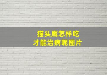 猫头鹰怎样吃才能治病呢图片