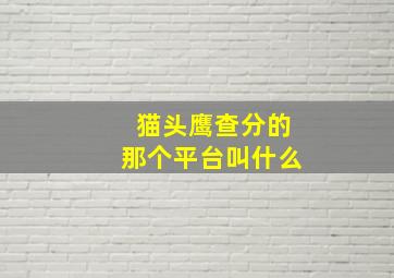 猫头鹰查分的那个平台叫什么