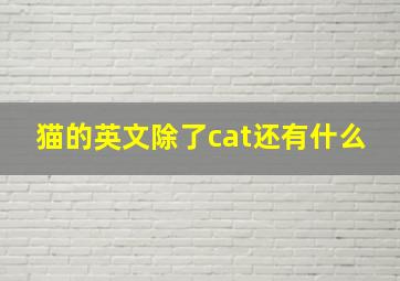 猫的英文除了cat还有什么