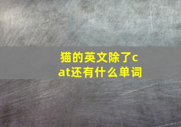 猫的英文除了cat还有什么单词