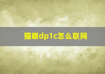 猫眼dp1c怎么联网