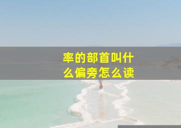 率的部首叫什么偏旁怎么读