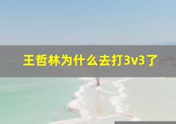 王哲林为什么去打3v3了