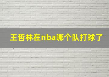 王哲林在nba哪个队打球了