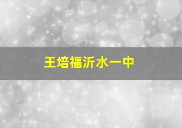 王培福沂水一中