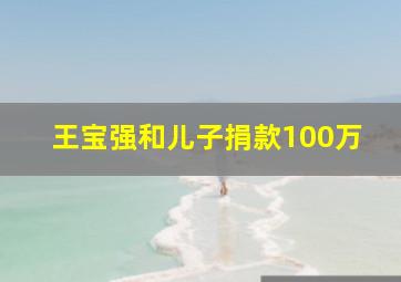 王宝强和儿子捐款100万