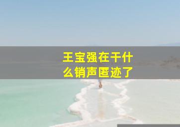 王宝强在干什么销声匿迹了