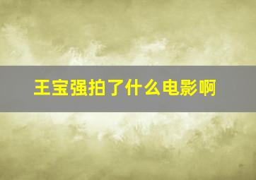 王宝强拍了什么电影啊