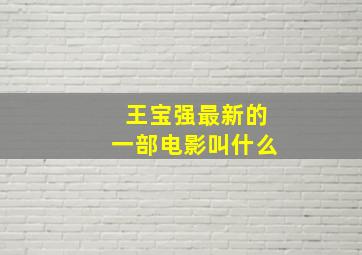 王宝强最新的一部电影叫什么