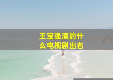 王宝强演的什么电视剧出名