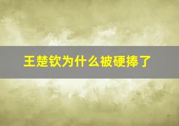 王楚钦为什么被硬捧了