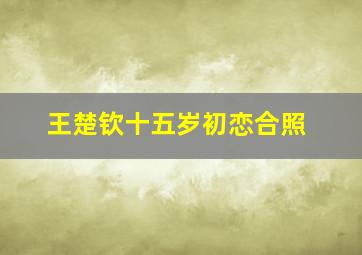 王楚钦十五岁初恋合照