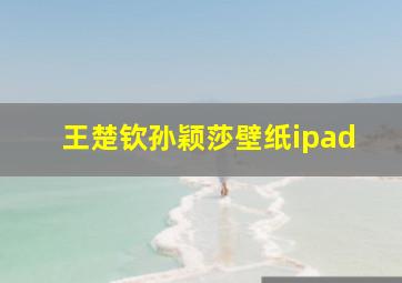 王楚钦孙颖莎壁纸ipad