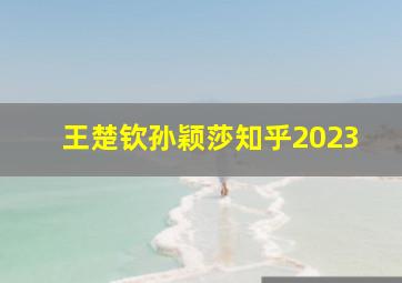 王楚钦孙颖莎知乎2023