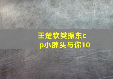 王楚钦樊振东cp小胖头与你10