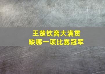 王楚钦离大满贯缺哪一项比赛冠军