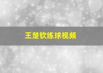 王楚钦练球视频