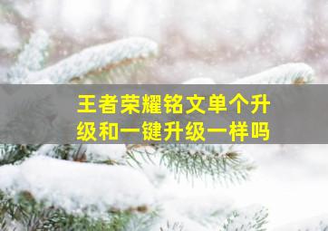 王者荣耀铭文单个升级和一键升级一样吗