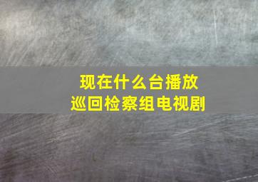 现在什么台播放巡回检察组电视剧