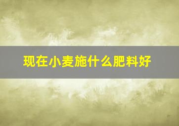 现在小麦施什么肥料好