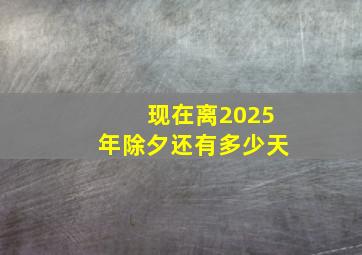 现在离2025年除夕还有多少天