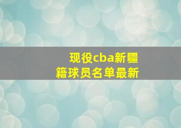 现役cba新疆籍球员名单最新