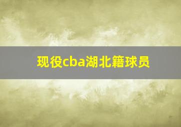 现役cba湖北籍球员