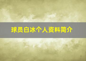 球员白冰个人资料简介