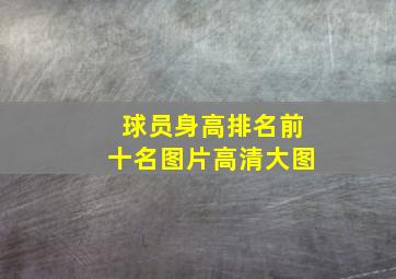 球员身高排名前十名图片高清大图