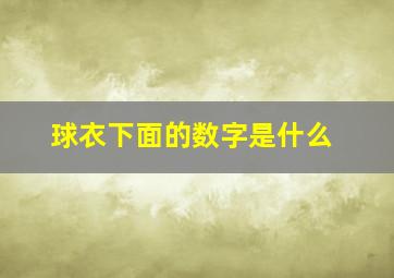 球衣下面的数字是什么