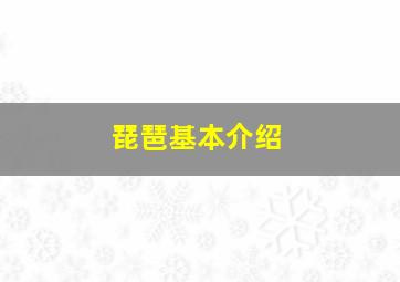 琵琶基本介绍