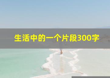 生活中的一个片段300字