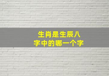 生肖是生辰八字中的哪一个字