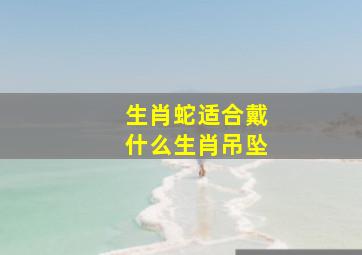 生肖蛇适合戴什么生肖吊坠