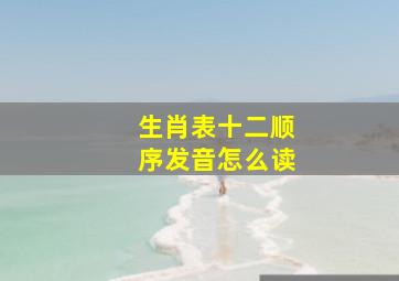 生肖表十二顺序发音怎么读