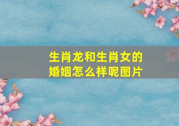 生肖龙和生肖女的婚姻怎么样呢图片